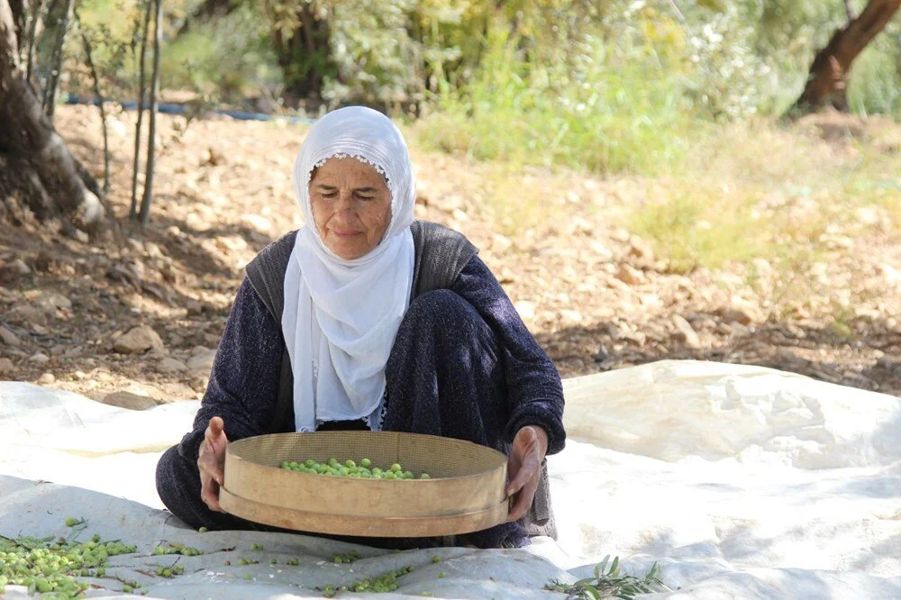 E J Je7 T F Wy E Gsx4Fy Cg1 I2 Q