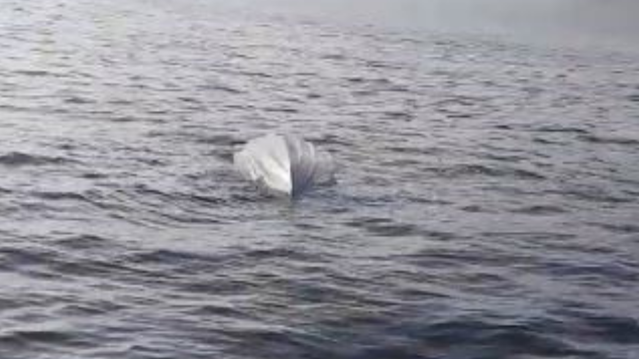 Ekonomi̇st 2025 10 07T094320.825