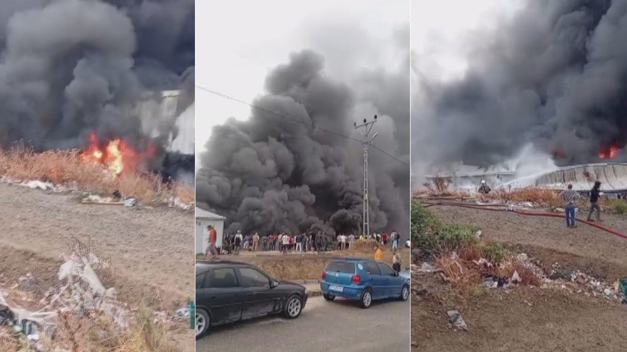 Ekonomi̇st 2025 10 09T103753.968