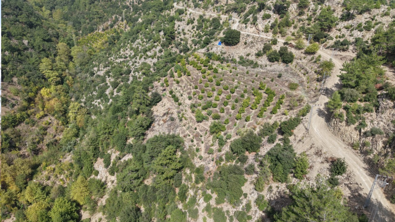 Ekonomi̇st 2025 10 09T110627.933