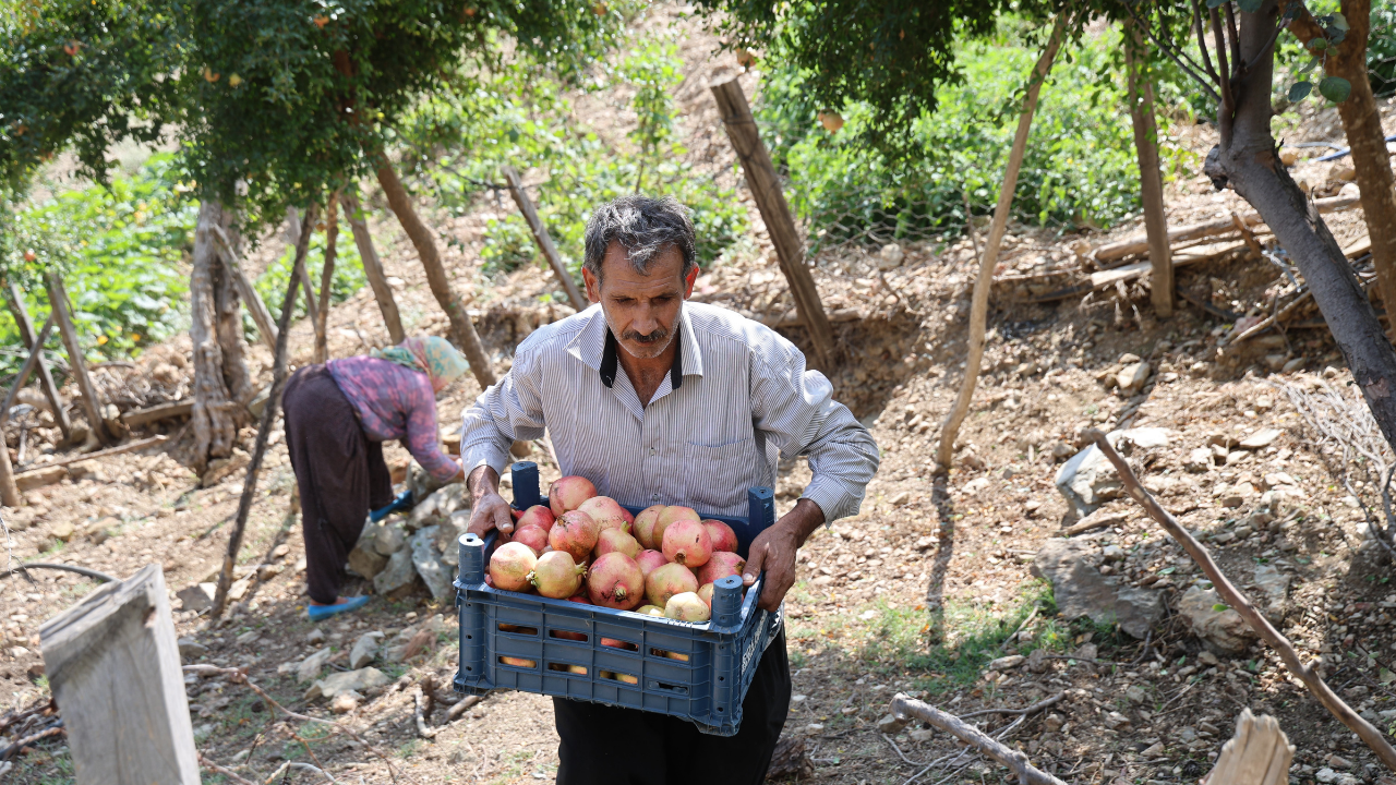 Ekonomi̇st 2025 10 09T110651.853