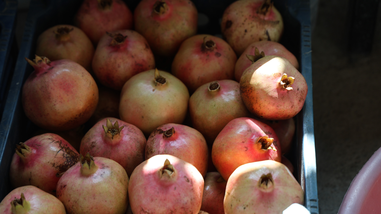 Ekonomi̇st 2025 10 09T110824.737