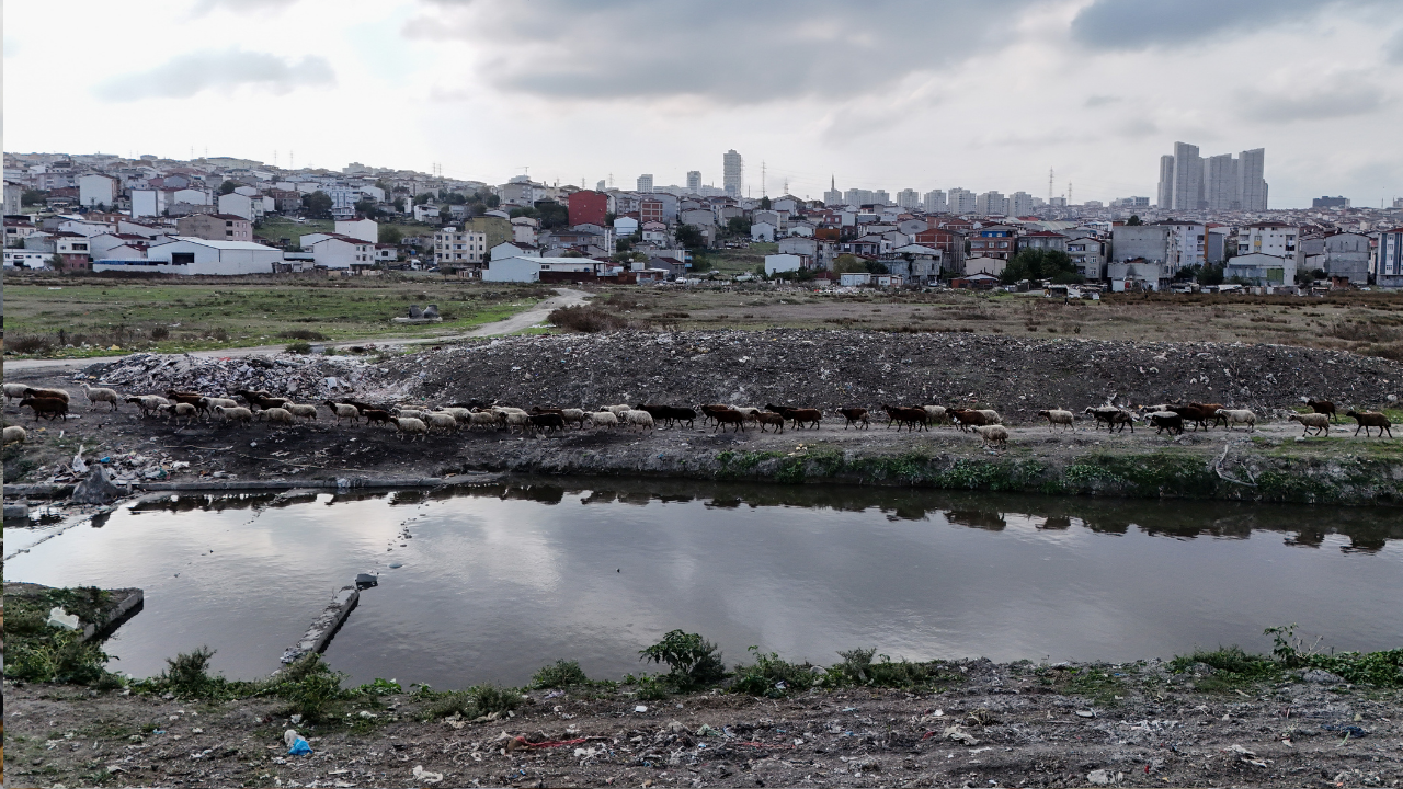 Ekonomi̇st 2025 10 21T112022.471