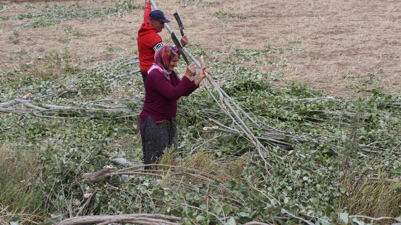 Ekonomi̇st 2025 10 24T102019.623