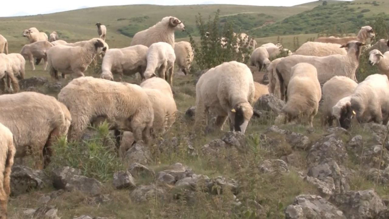 Ekonomi̇st 2025 10 24T104958.150