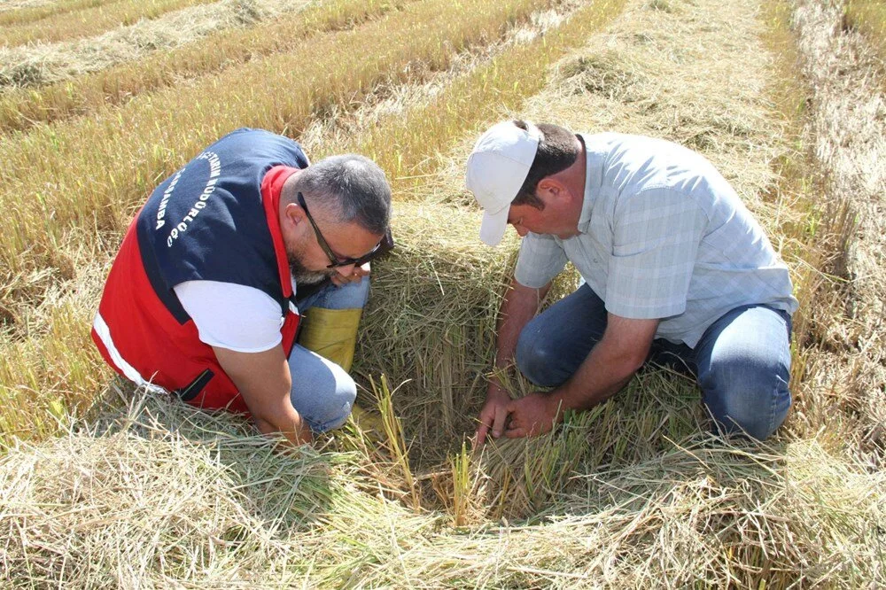 Gl T P C G M1Tk O8P89 Q I Rj Ya Q