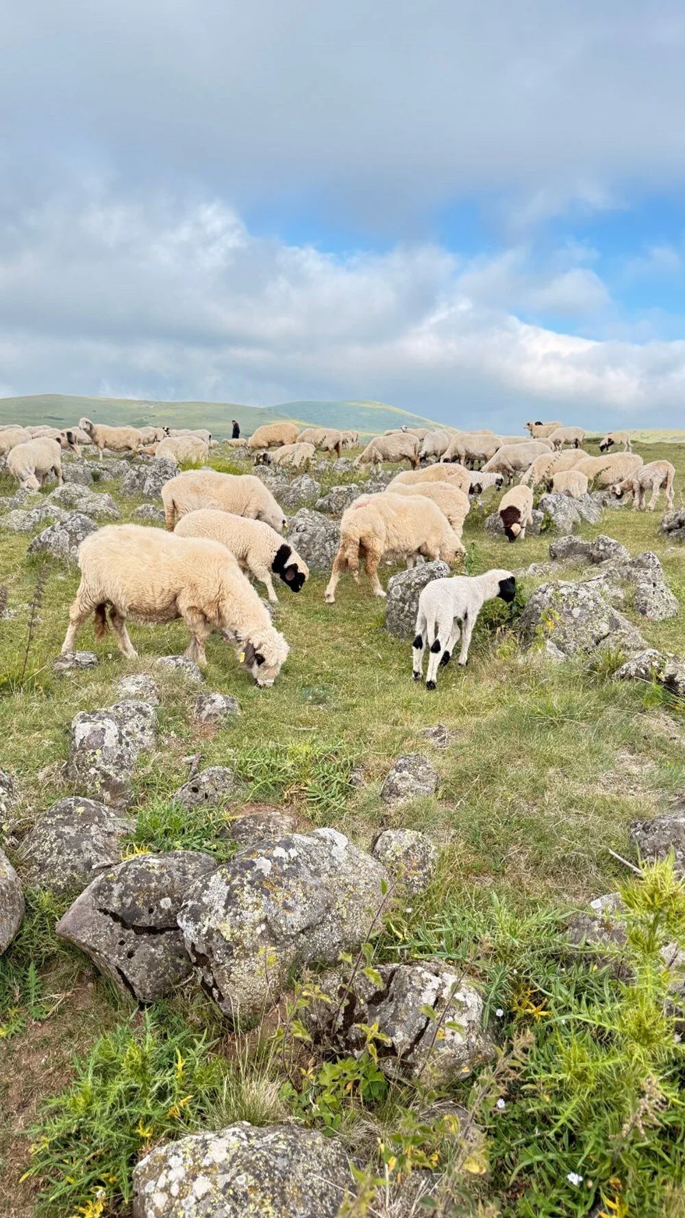 Hghtb X1Xx E2 K78Mi Cu7 I A