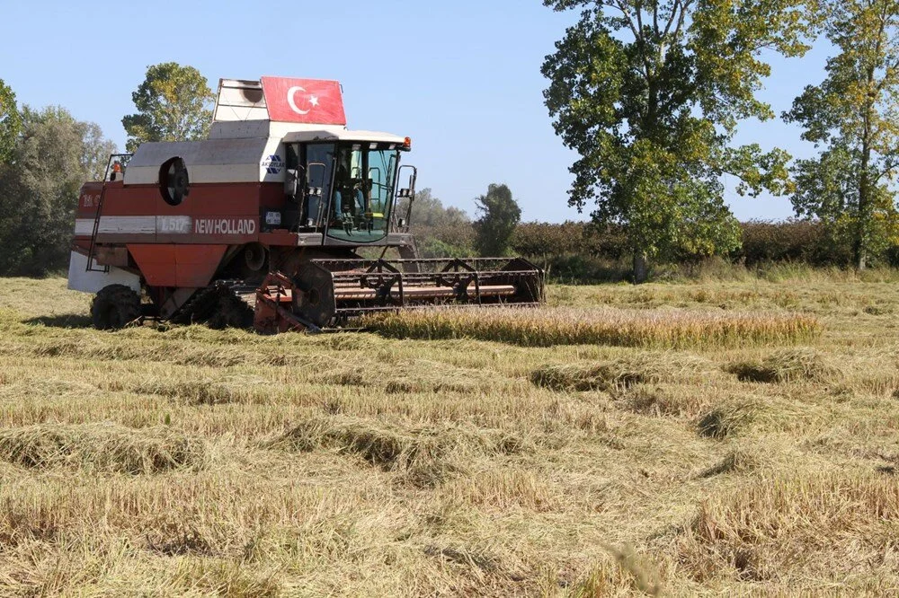 K Mz1Qua6M0 K2 L G4Q Qkvfpg