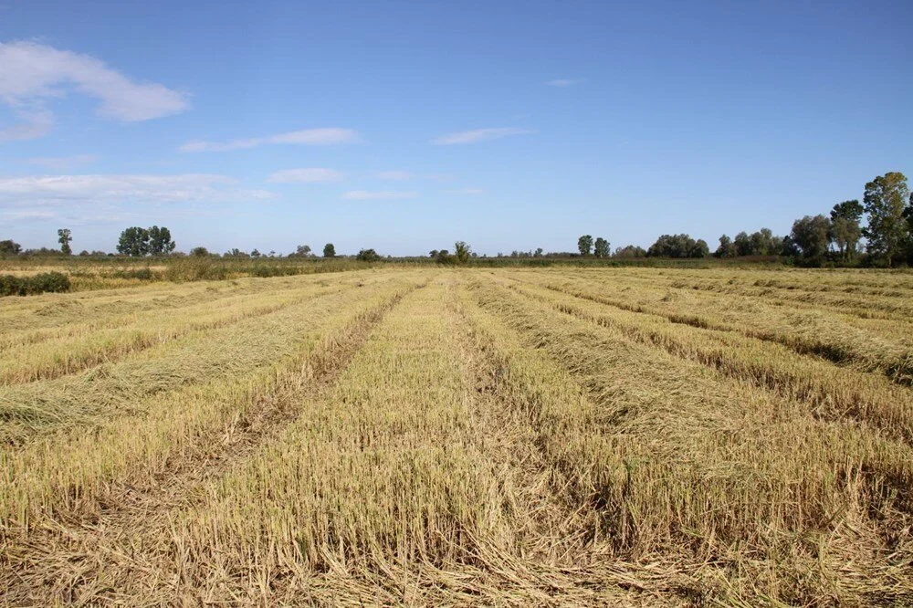 K Z Q J Gy Rw Jkuh W E Qw I F E Mqw