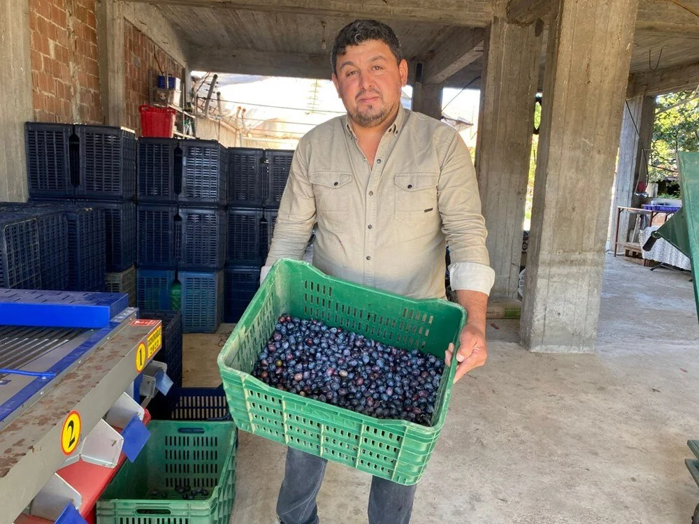 Kh S U Dg4Jv U S Fe Fg6Q O Lm X Q