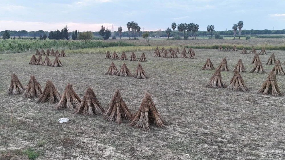 Ktv Xs Zxt T Emo0Y8 S Q8Rb A