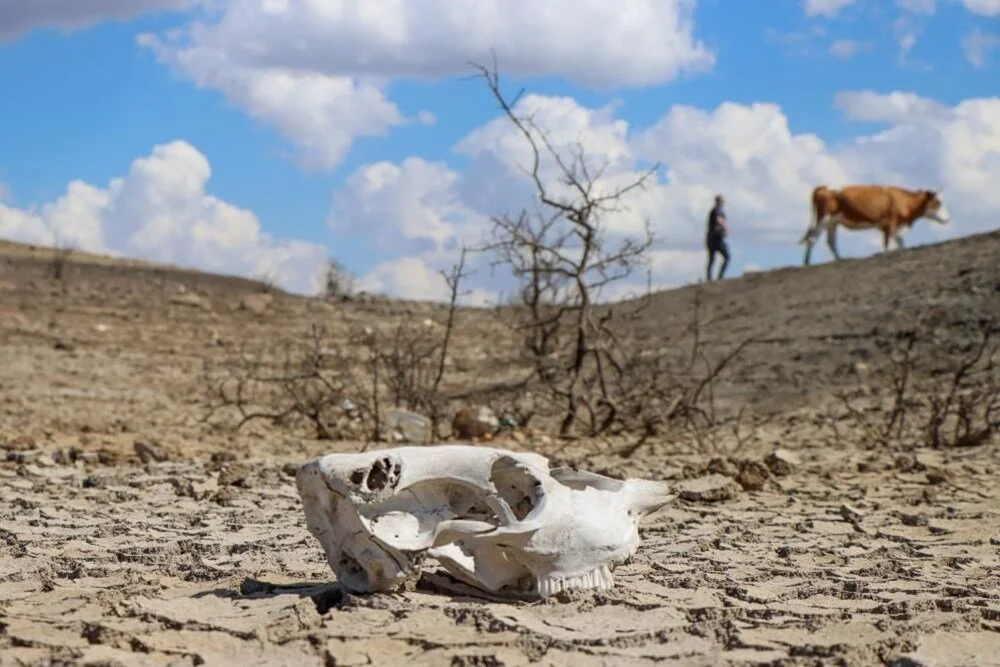 Kzd G4 Qo N Z U O1 Lpaya K N Mz Q