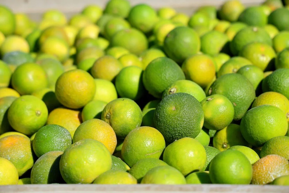 L Wg1Qbf61Ke V B T1D Rx Cq5W