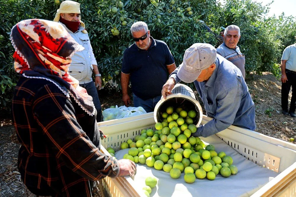 L Xfw Y4 I M10M Li J K Y Xa P X Aw