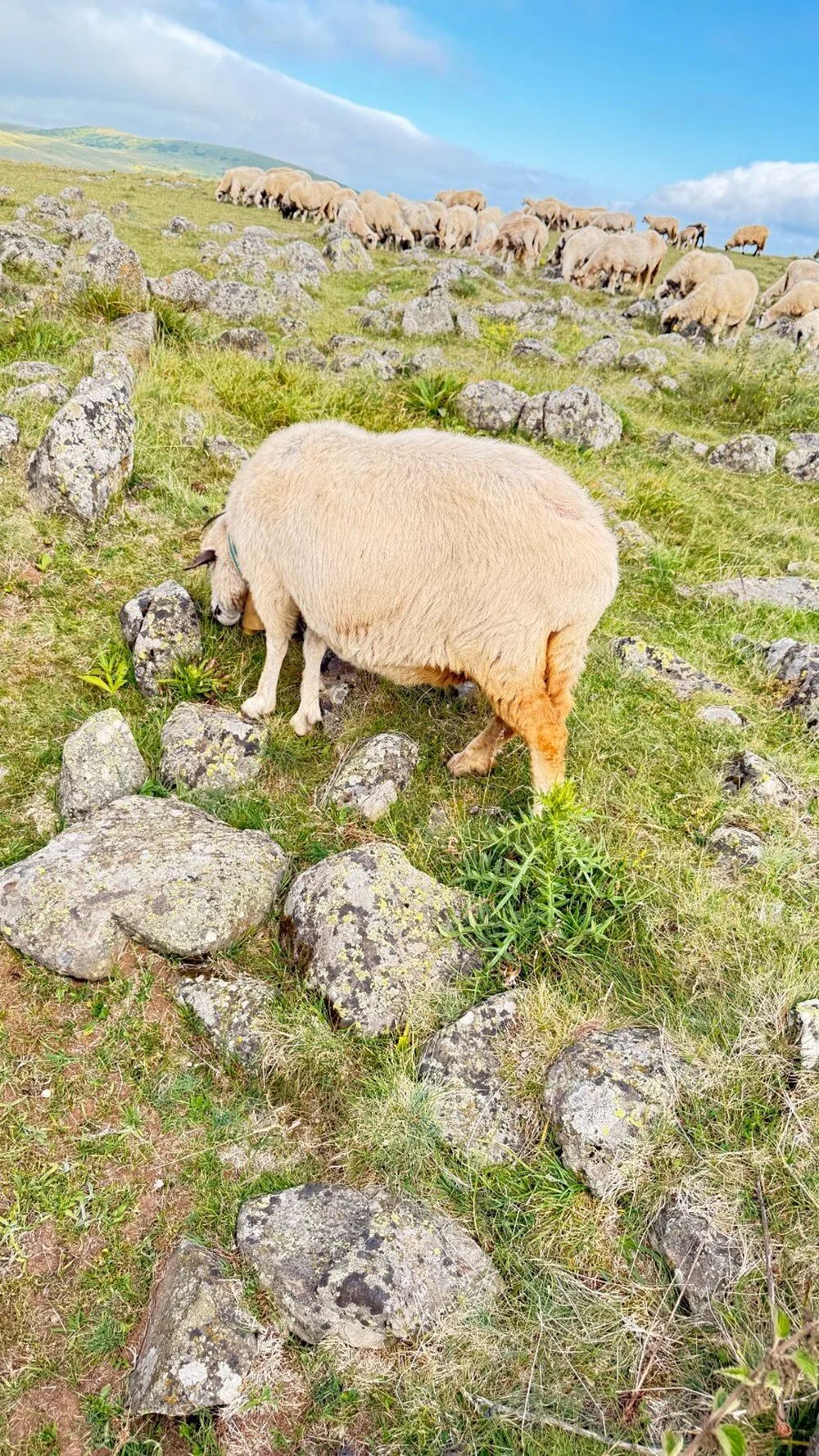 Oa D A1 Sj P Mkac W Ix Pewqz9 Q