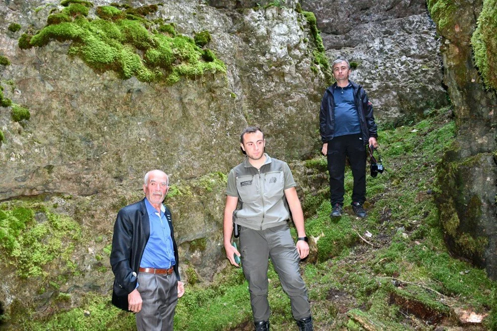 Qp U Km O N Hy Eu1Pq1Vb Ba Kg