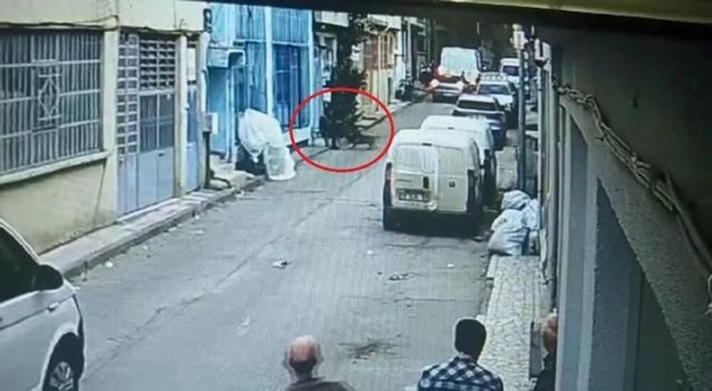 Rp N Nsq Lyo Eu47 Bu Wu09Mrg