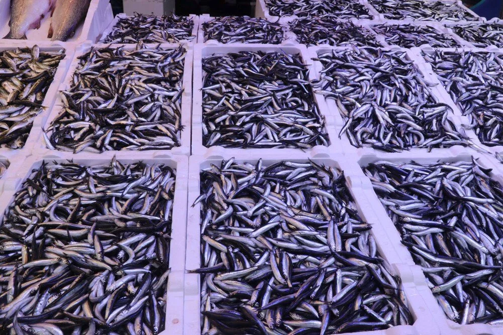 Ry I Drp3T0 W Ik B Y R Y Qq A