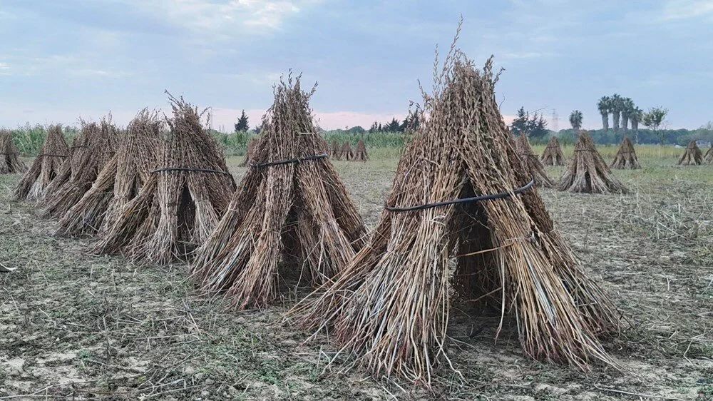 Sp Dgtcj Uaru Kpn Ep Lxdw