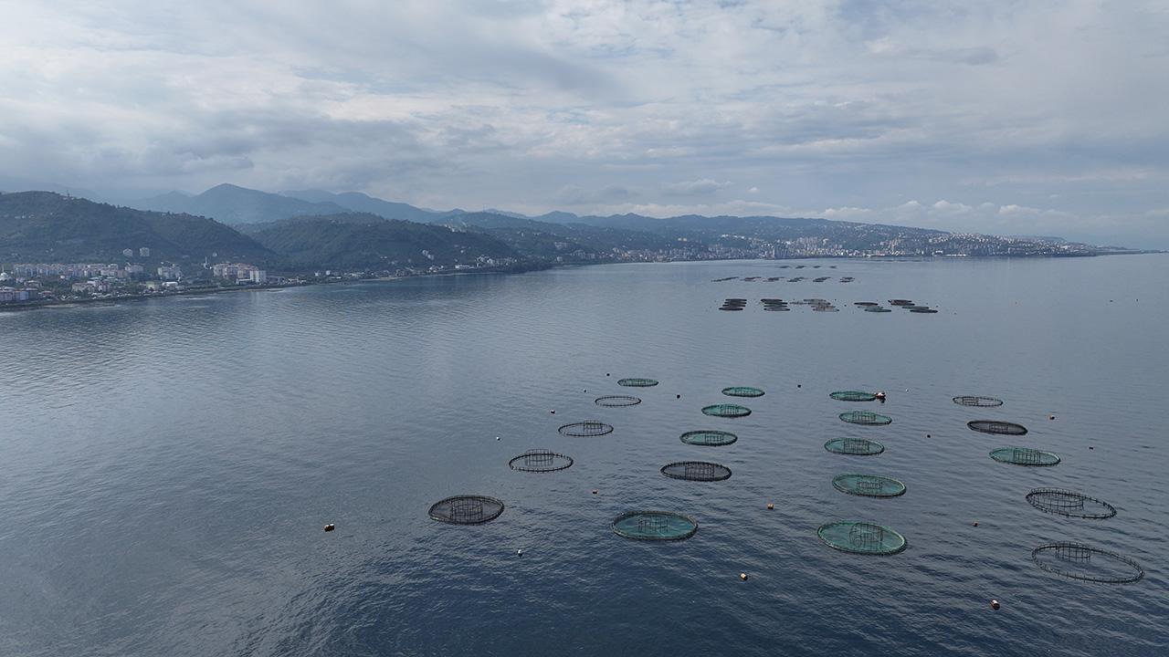 Su Urunleri A 2410233