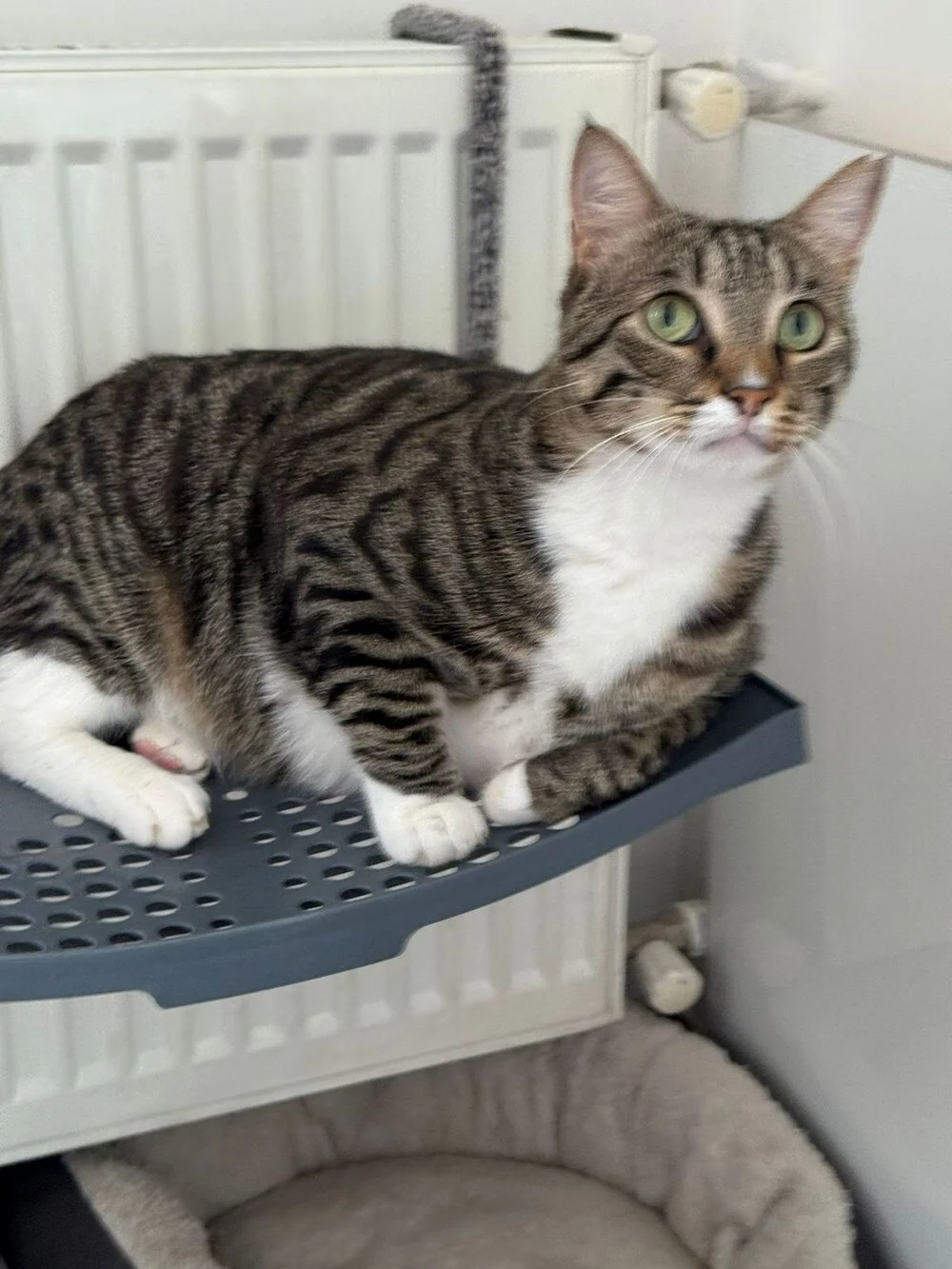 Tdw Ll Y Ts P E Cjj E J G L2Ez Lw