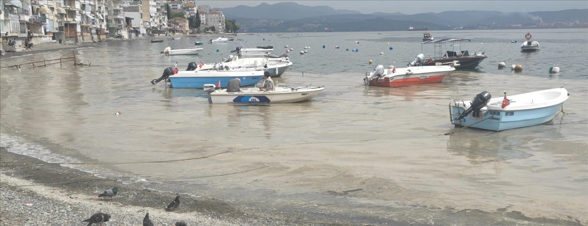 Thumbs B C 90C0Ff06F66D06De8Cc3B35D5461D091