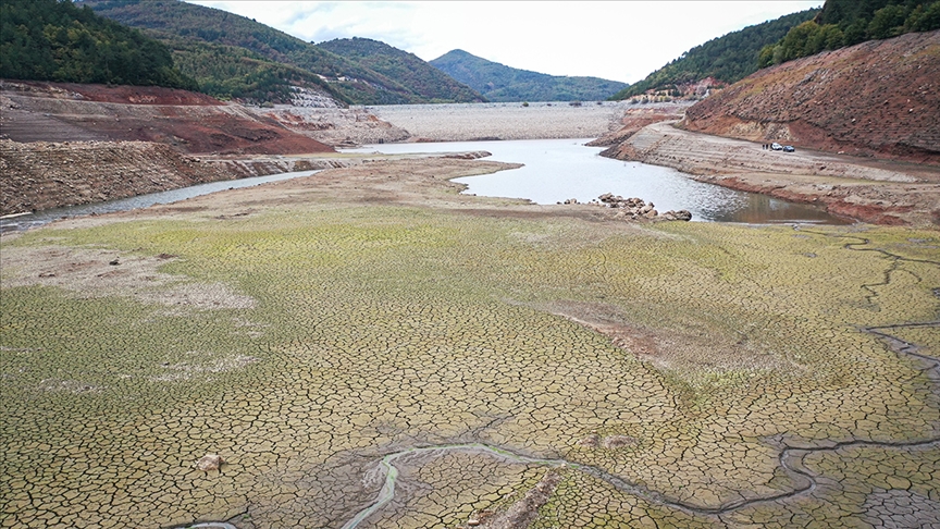 Thumbs B C Ddaeff3B59B3Cb6299E46B42Dced8C5C