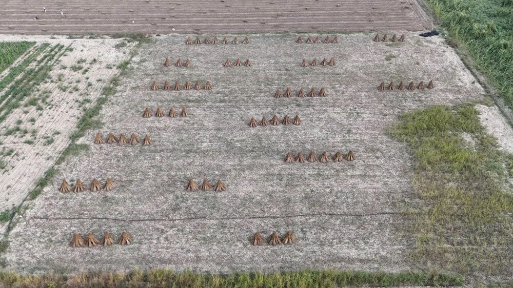 U H Co Tu I8 Nk S4 L F3 P Ic O H A