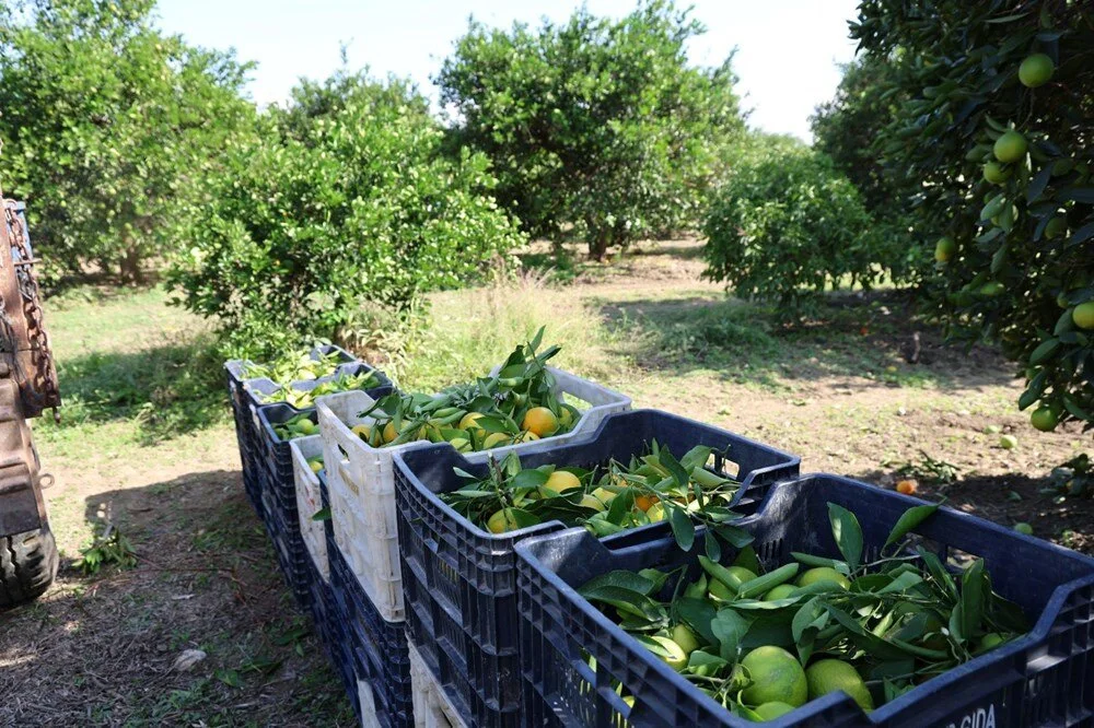 Vscp Tx Wc Jk K Dg Zeew R Pxw