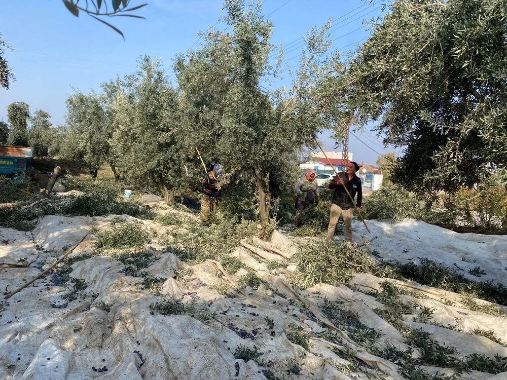 W H V Bh P8 Uv Eefz U9 Mx O7 E Q