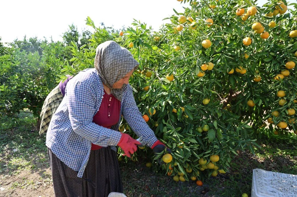 X V Ftj M Oh I E Si8 Qwm9C U 6G