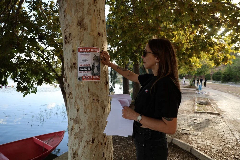 Xrvh Q Q5 N X0 Ki Y H R Ays Jcz Q