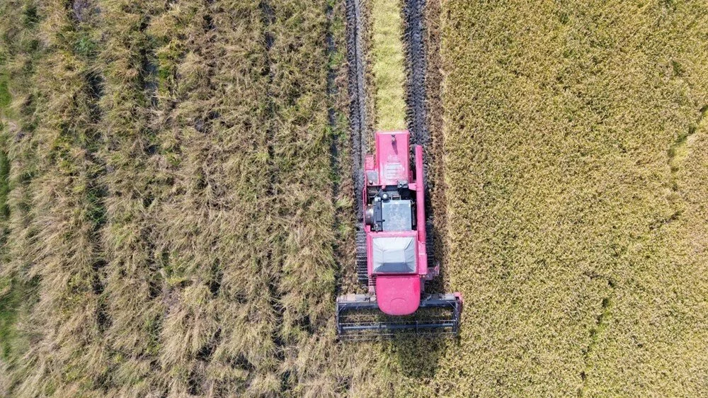 Y89C M I Qg Ey K I4S B Td Zw Zw