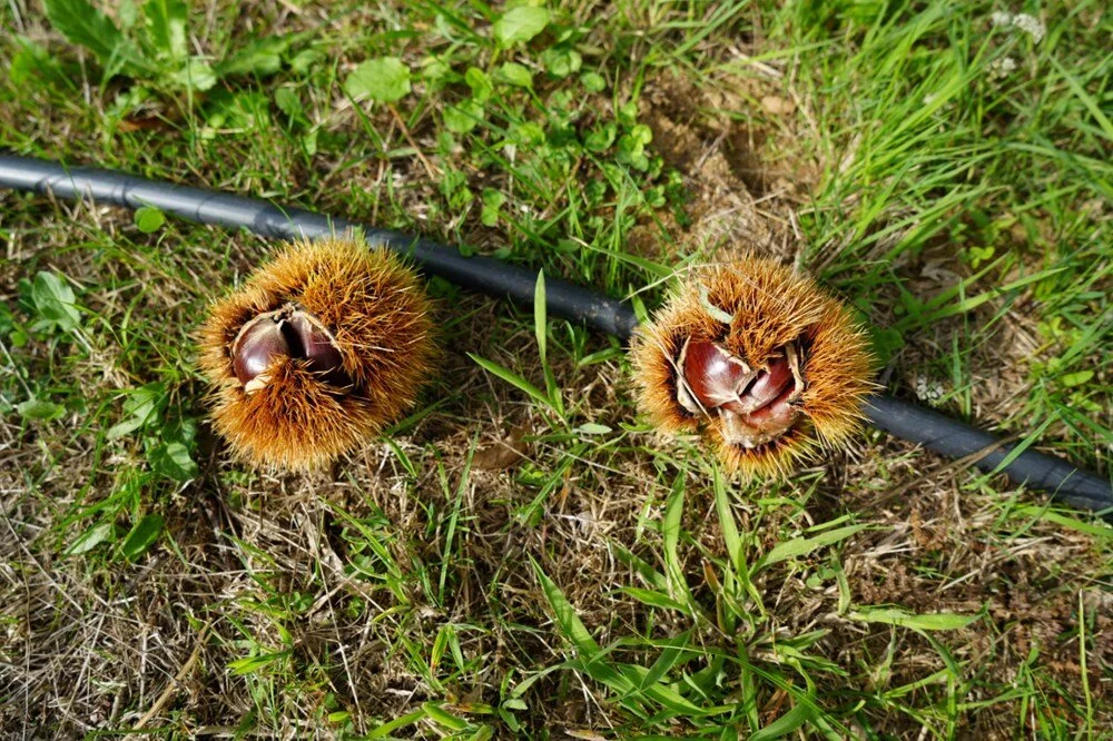 Z I Xf G Vx T Uuw S4Avllhg G Q