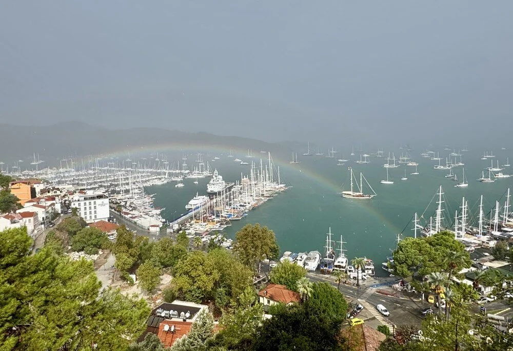 Z4 Ije Sgwkuzr94 E Ml Wmyw