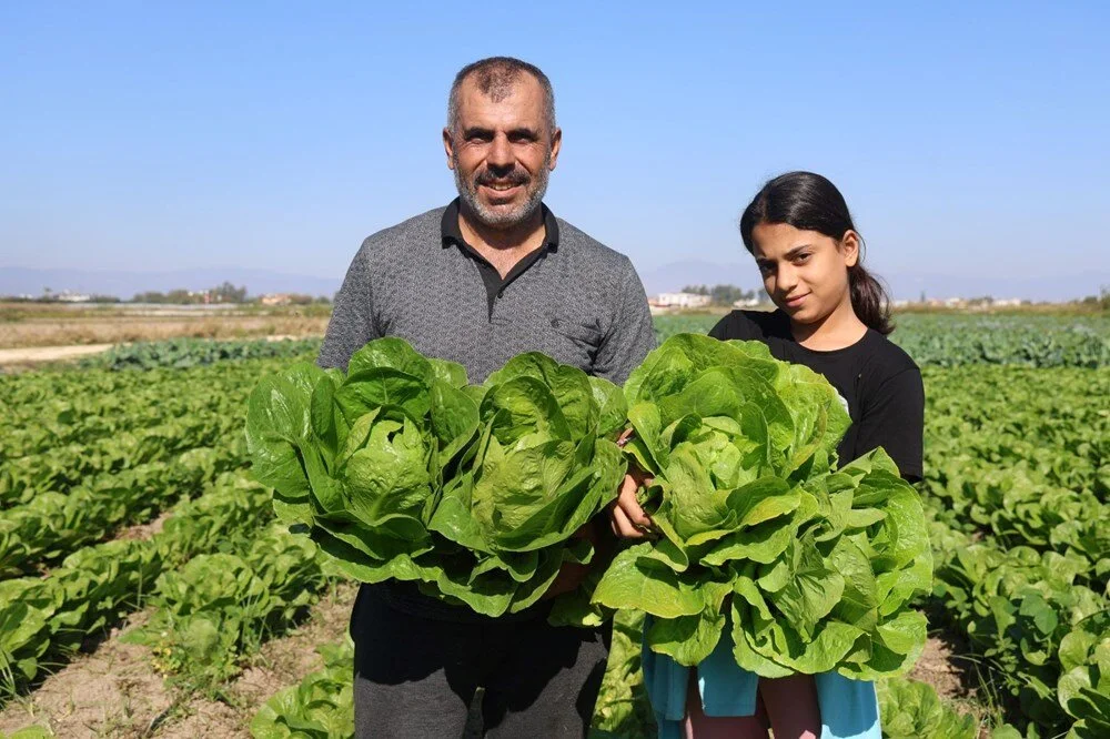 5 I X G A Olh Pk D Td D G F I1 A S Q