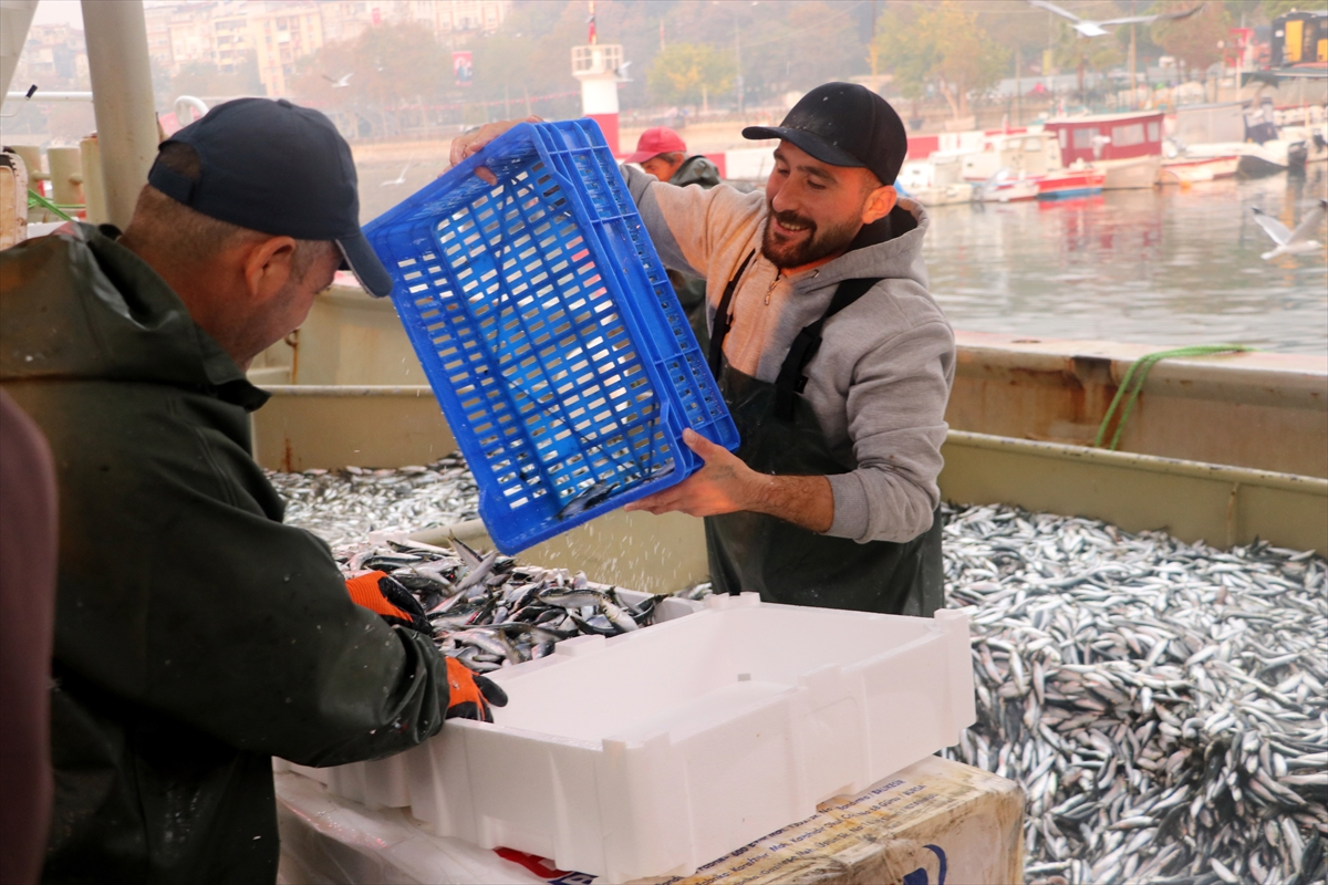 A A 20251104 39608698 39608695 H A M S I V E S A R D A L Y A B O L L U G U T E K I R D A G D A B A L I K C I L A R I N Y U Z U N U G U L D U R D U