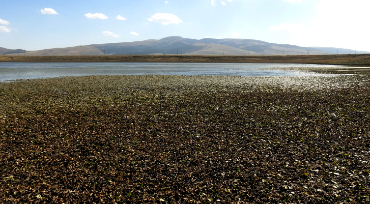 Aa Picture 20251101 39583571