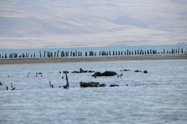 Aa Picture 20251103 39599919