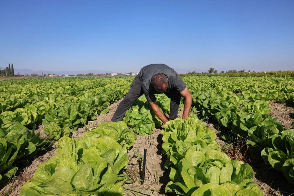 G U Hgf X Qkz Ui5O E Lmy4 Q7K Q