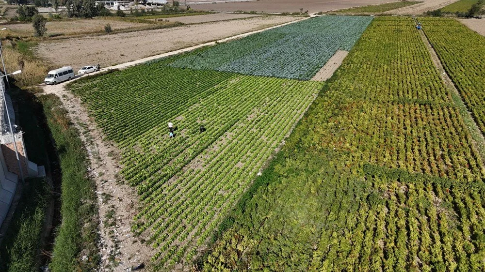 Laa L S5Y K M U S C 3 Ze P Za B Dw