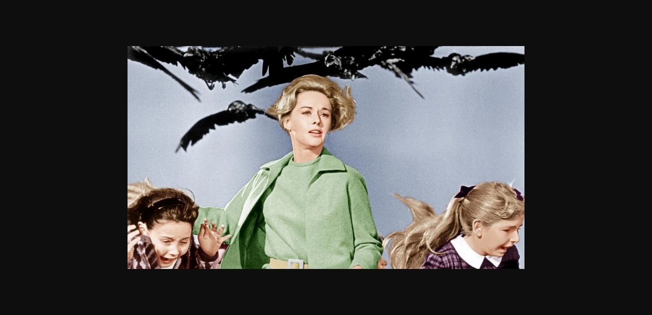 Sakın Evde Denemeyin!