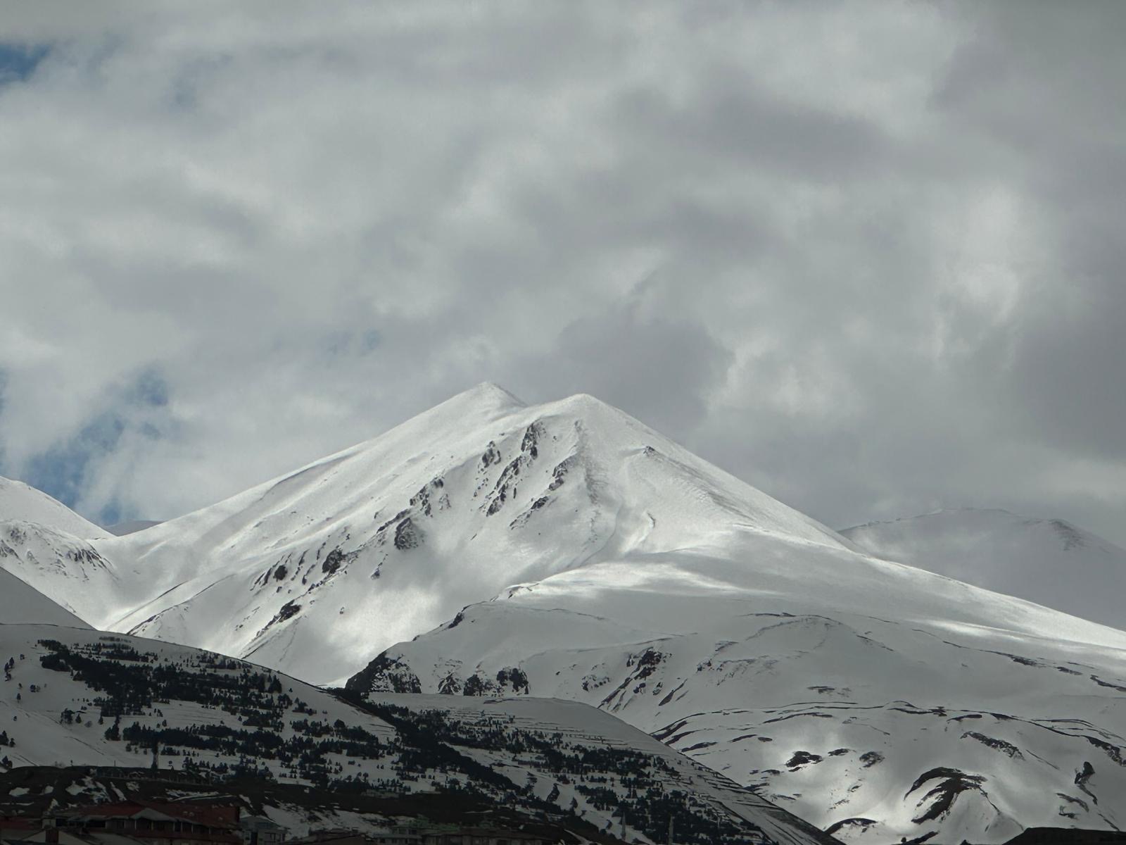 A94C59Bd 1Db8 4227 9353 6Ea0C3Ce6A54