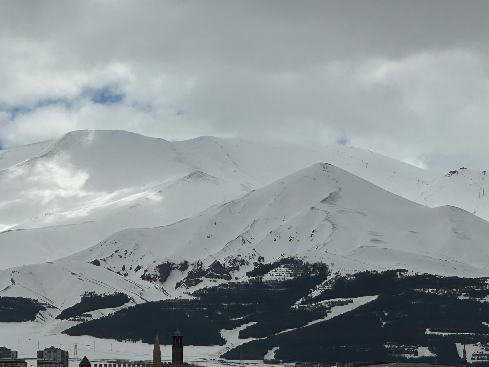 Ffd246Ba 6423 4C58 8602 Cdf384736Fbd