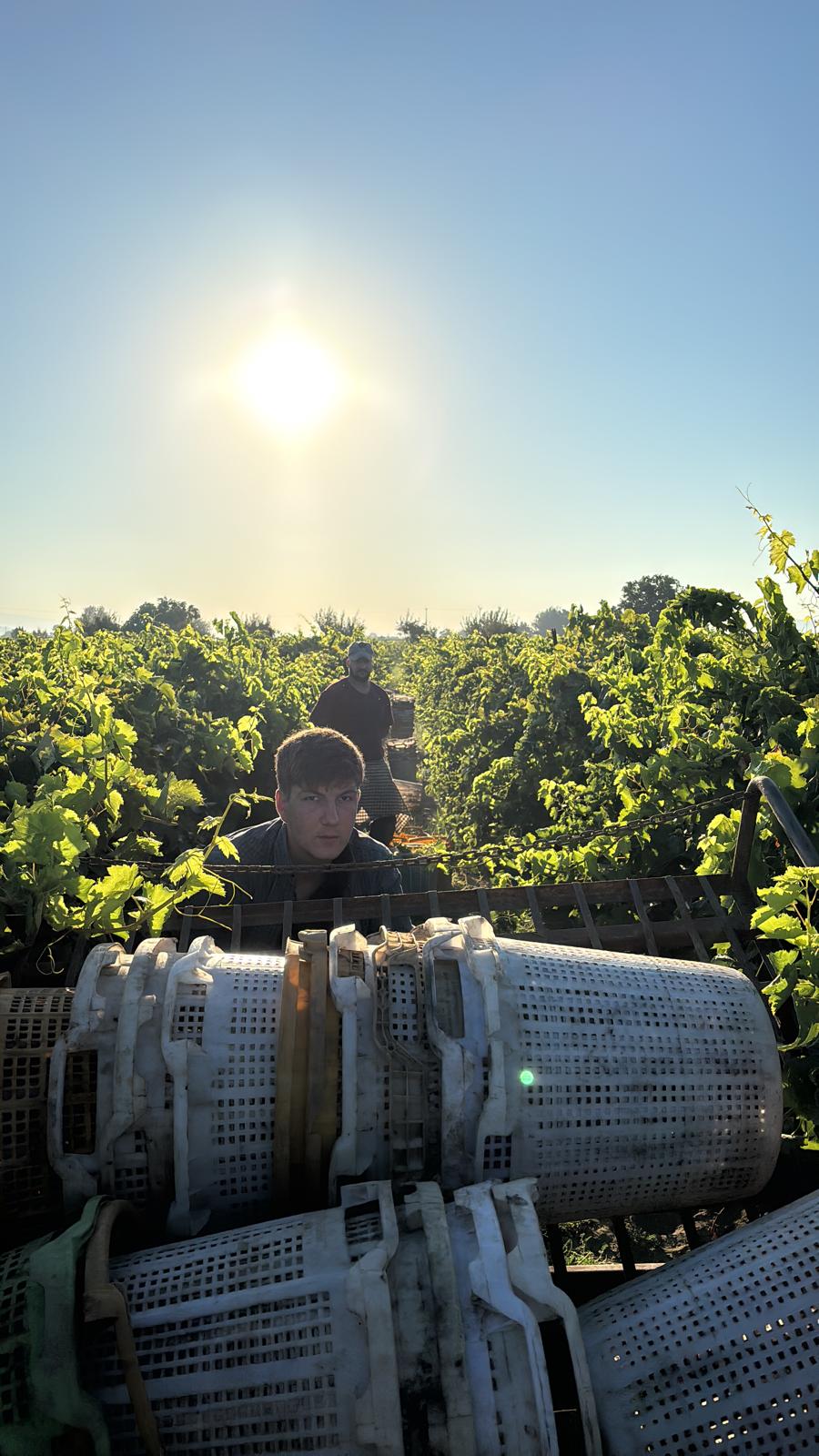 Whatsapp Image 2026 04 17 At 16.49.43